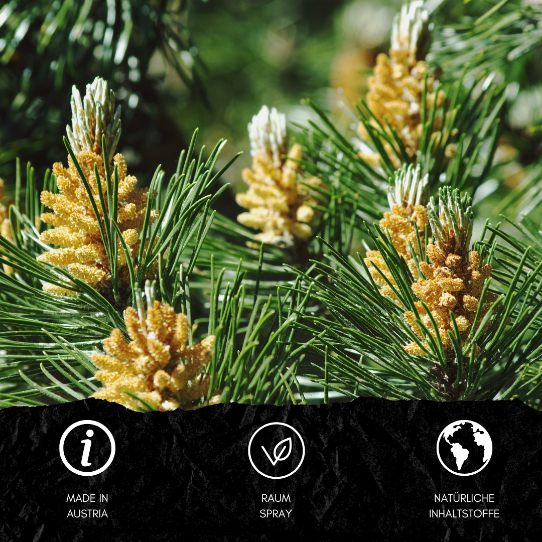 ROOM SPRAY SWISS PINE FOREST